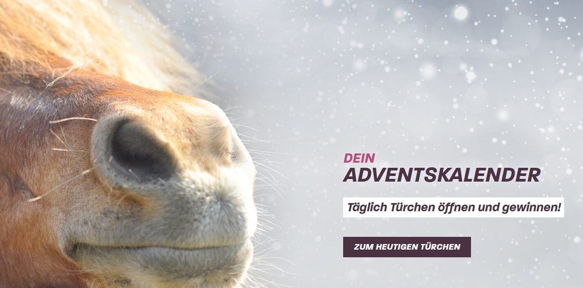 pferdefutter adventskalender Gewinnspiel